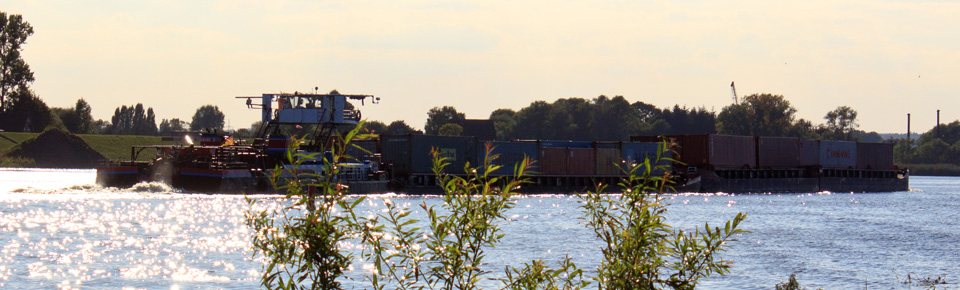 Containerschiff auf Elbe